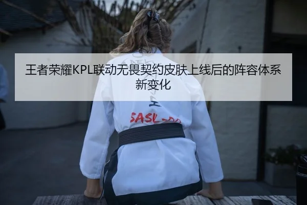 王者荣耀KPL联动无畏契约皮肤上线后的阵容体系新变化