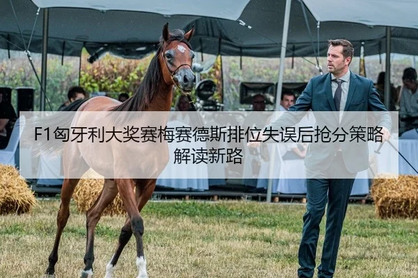 F1匈牙利大奖赛梅赛德斯排位失误后抢分策略解读新路